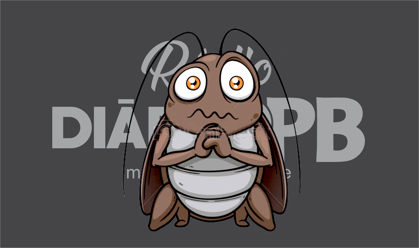 Lofo Radio Montagem2