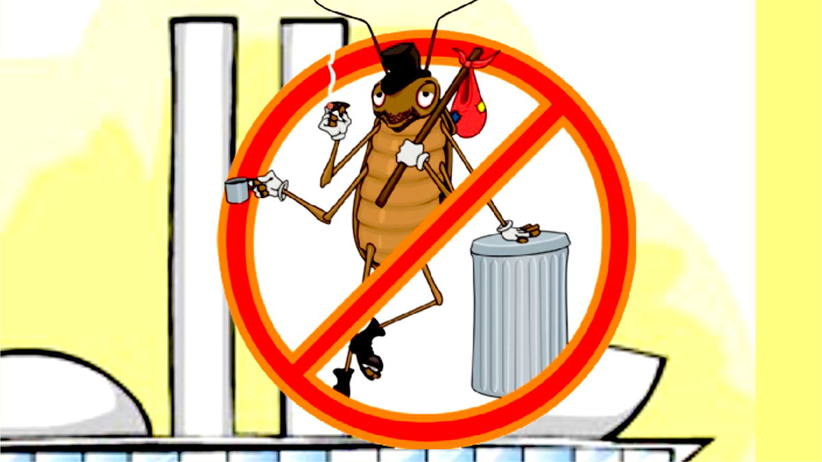 Barata congresso fora