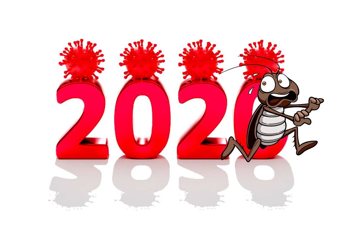 2020 barata 100